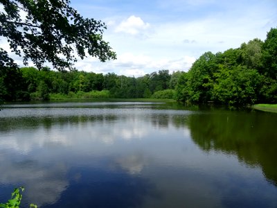 Etang de la Charmoye, dans la forêt de la Charmoye, avant … 