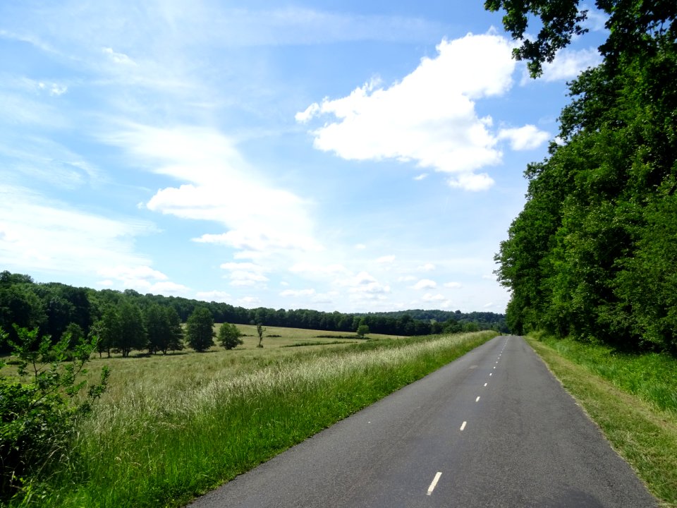 Entre la Charmoye et Montmort-Lucy, Marne 