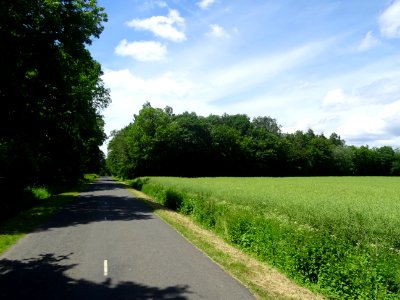 Entre Chaltrait et Montmort-Lucy, Marne 