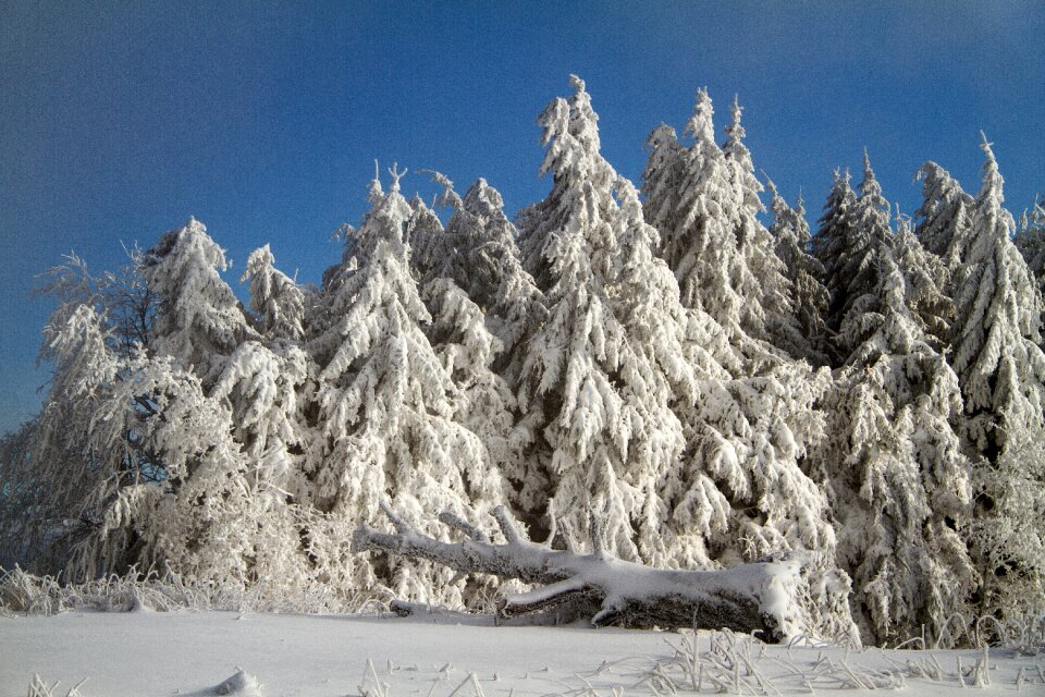 Hochrhoen wasserkuppe rhön winter