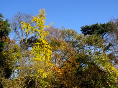 DSC02046 
