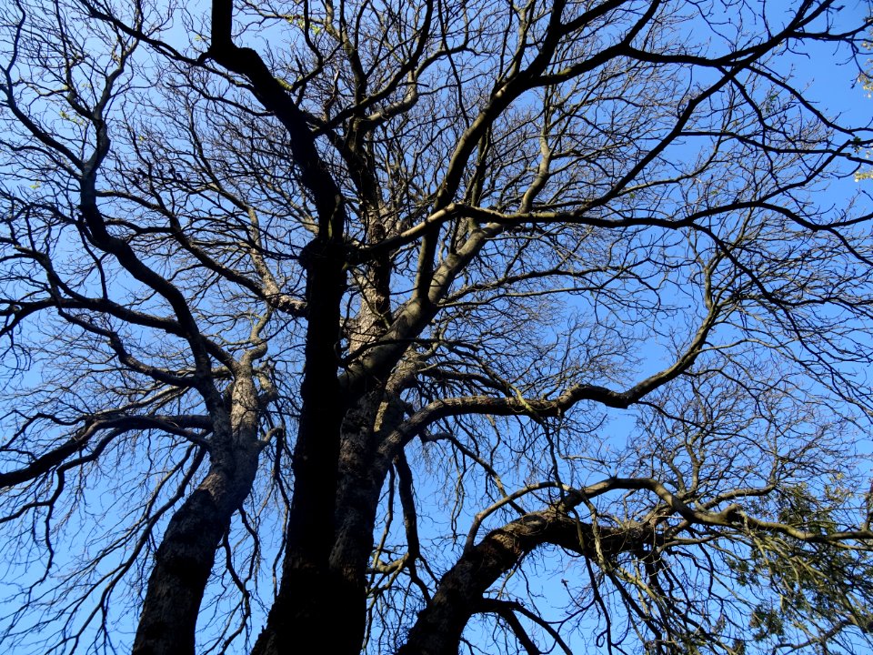 DSC02099 