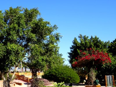 DSC01427 