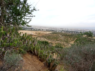Dans la descente, vue sur Agadir 