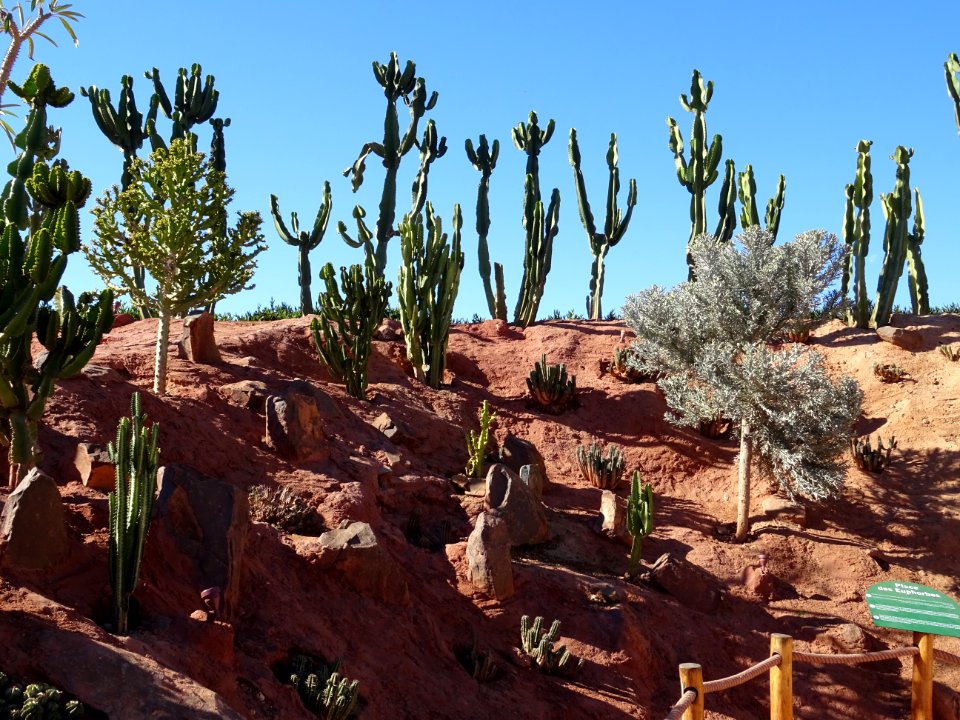 Place des Euphorbes, Jardin des Cactus, Crocoparc, Agadir 