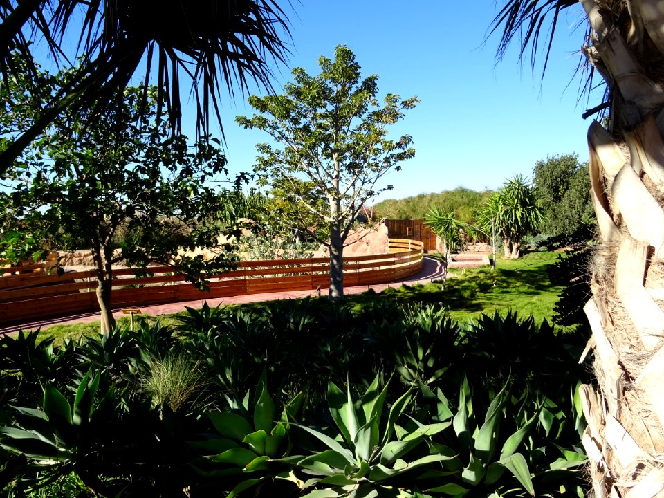 Jardin botanique, Croco parc, Agadir 
