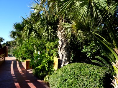 Jardin botanique, Croco parc, Agadir 