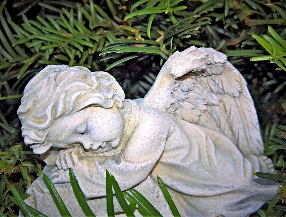 Grey white lying dormant