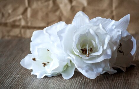 Fabric white wood