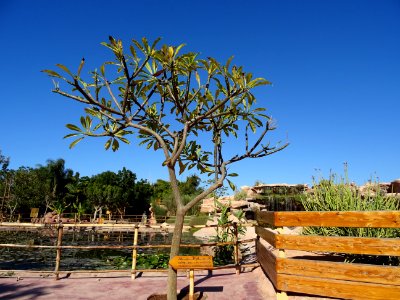 DSC01443 
