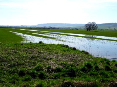 Les prairies sont inondées, avant d'arriver à Carignan, Ar… photo
