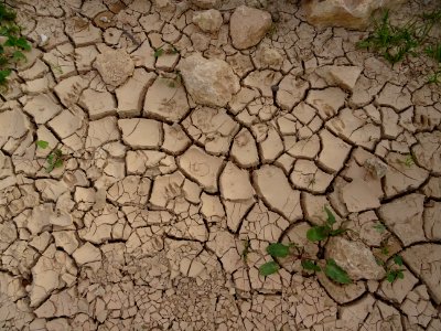 Terre craquelée 