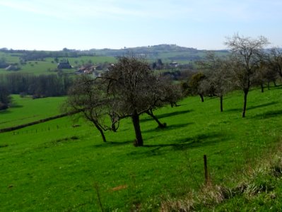 Verger, au loin Signy-Montlibert, Ardennes 