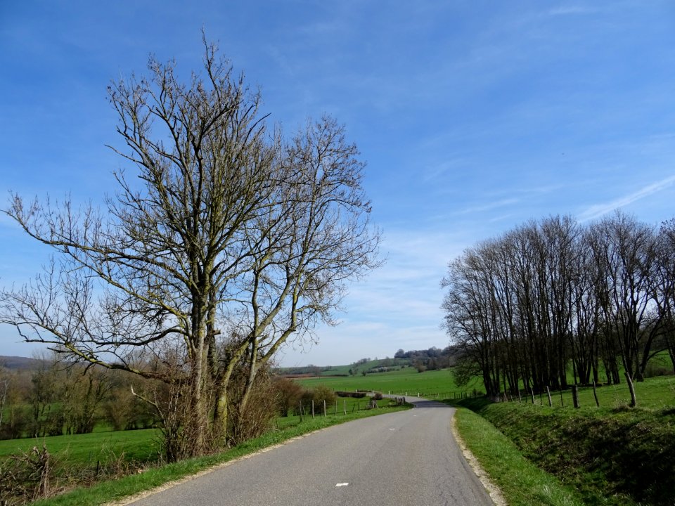 Sur la route entre Thonnelle et Avioth, Meuse 