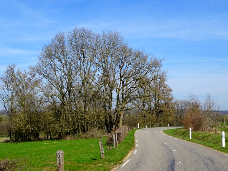 Sur la route entre Thonnelle et Avioth, Meuse 