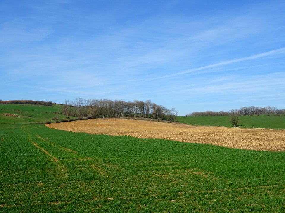 Paysage ouvert avant Villers-devant-Mouzon, Ardennes 