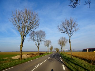 Entre Audun-le-Roman et Fontoy, Meurthe-et-Moselle 