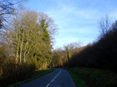 Sur la D16 qui descend à travers le Bois de la Petite Rimo… 