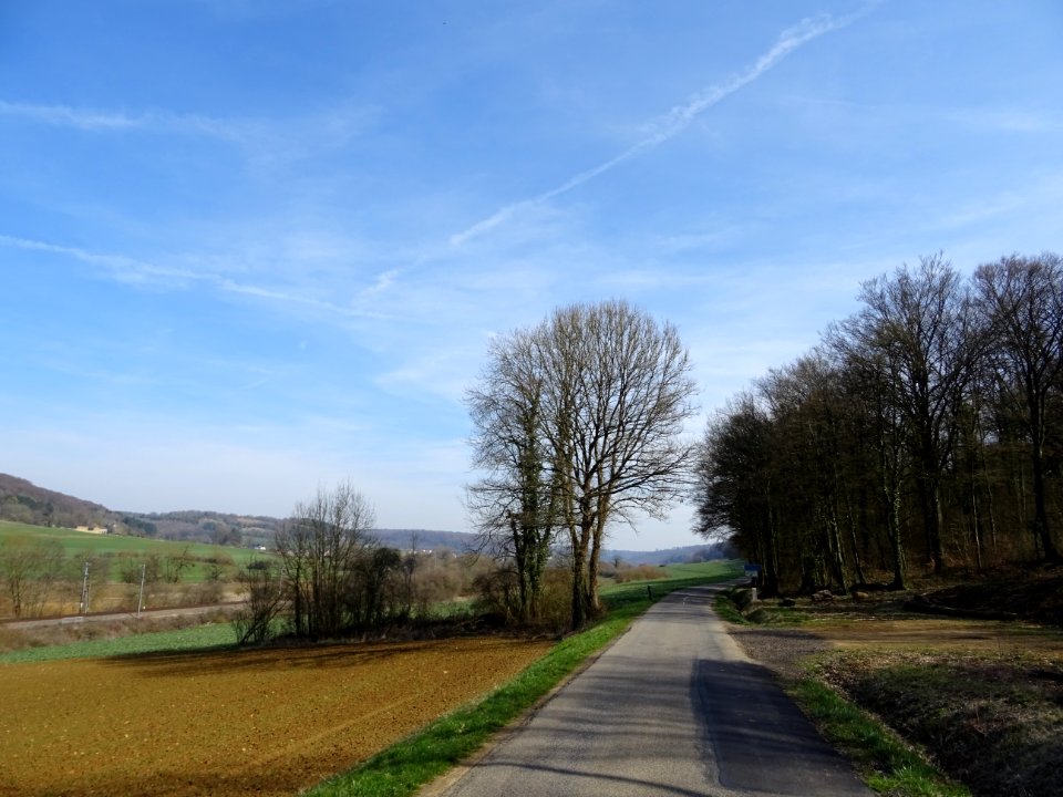 Sur la route, entre Velosnes, Meuse et Charency-Vezin, Meu… 