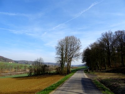 Sur la route, entre Velosnes, Meuse et Charency-Vezin, Meu… 