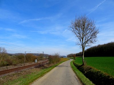 Sur la route, entre Velosnes, Meuse et Charency-Vezin, Meu… 