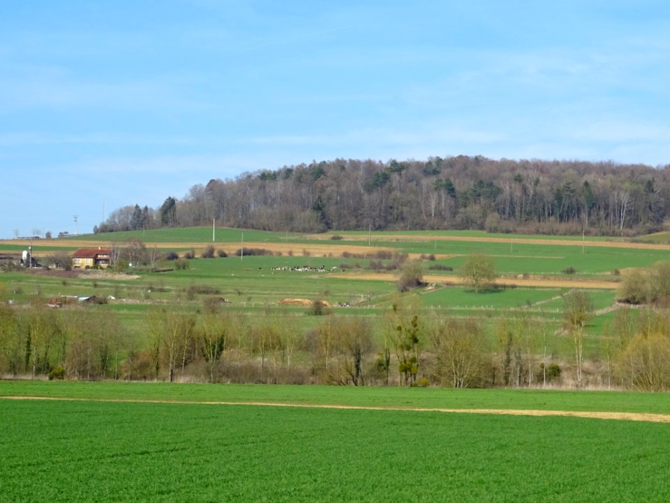 Depuis Velosnes, Meuse, vue vers le Nord et la Belgique 