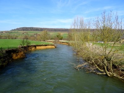 Rivière La Chiers, entre Torgny, Wallonie, Belgique et Vel… 