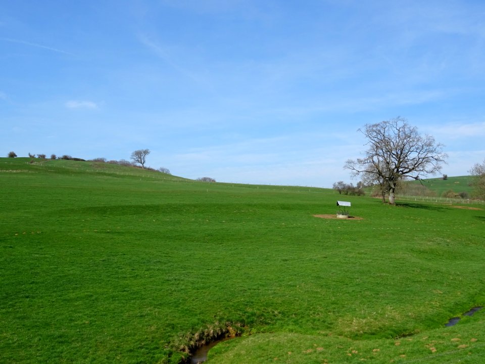 Immense prairie entre Verneuil-Petit et Verneuil-Grand, Me… 