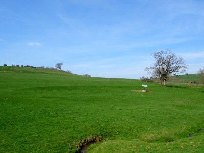 Immense prairie entre Verneuil-Petit et Verneuil-Grand, Me… 
