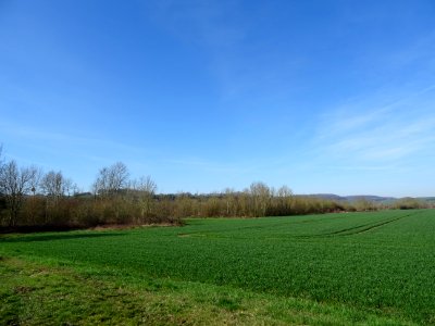 Prairie entre Bazeilles et Aillicourt, Ardennes 