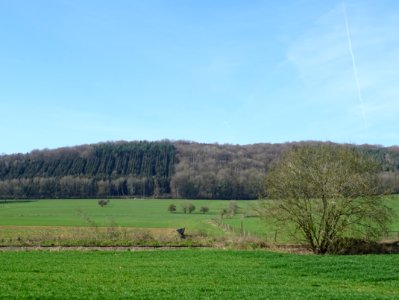 Paysage ouvert entre Villers-devant-Mouzon et Autrecourt, … 