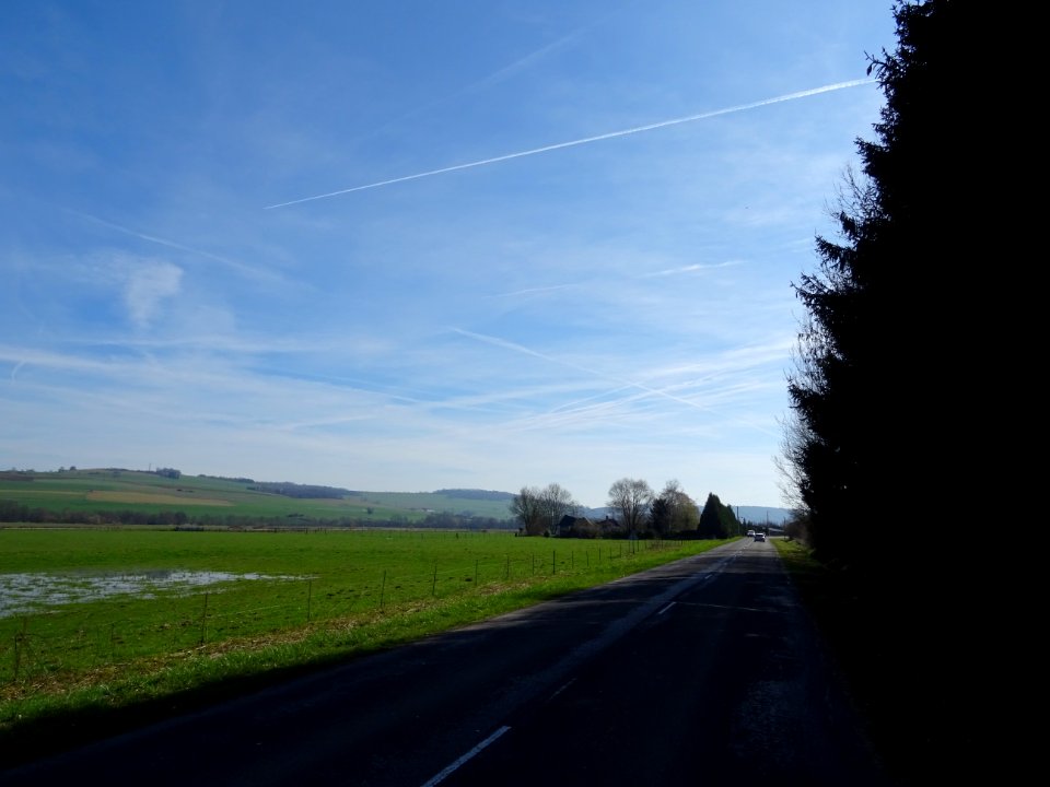 Sur la D4, à l'ombre des grands sapins, entre Autrecourt e… 