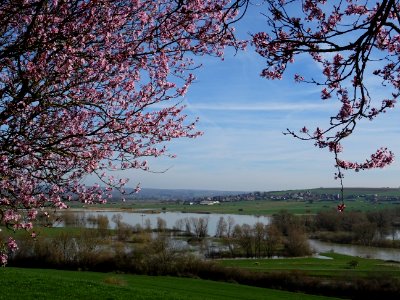 Vue vers le nord : le village de Mairy et les méandres de … 
