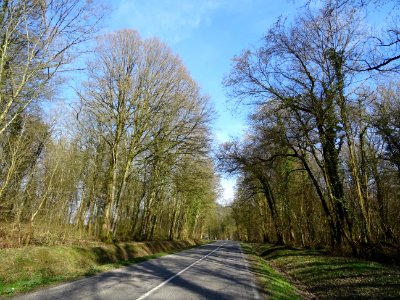 Sur la route entre Longuyon et Pierrepont, Meurthe-et-Mose… 