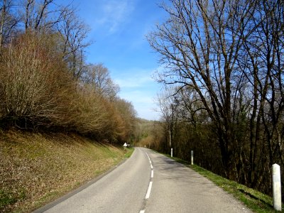 Sur la route D29C, entre Colmey et Longuyon, Meurthe-et-Mo… 