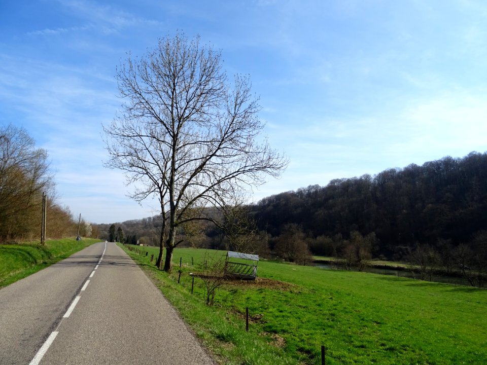 Sur la route D29C, entre Colmey et Longuyon, Meurthe-et-Mo… 