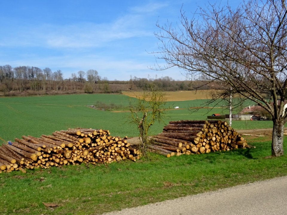 Tas de grumes avant Colmey, Meurthe-et-Moselle 