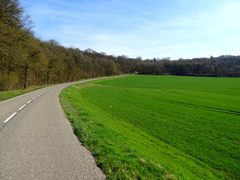 Sur la route D29C, entre Colmey et Longuyon, Meurthe-et-Mo… 