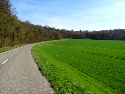 Sur la route D29C, entre Colmey et Longuyon, Meurthe-et-Mo… 