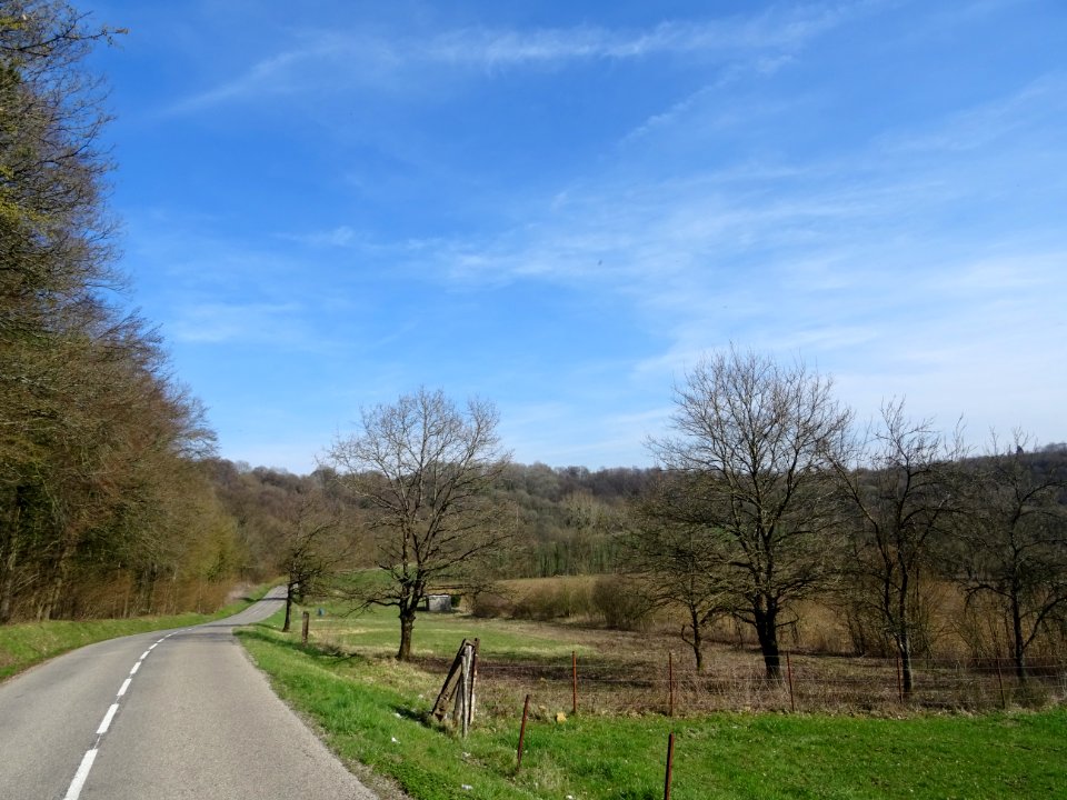 Sur la route D29C, entre Colmey et Longuyon, Meurthe-et-Mo… 