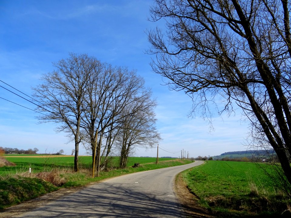 Sur la route entre Avioth et Verneuil-Petit, Meuse 