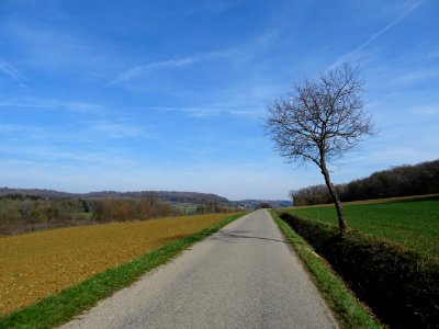 Sur la route, entre Velosnes, Meuse et Charency-Vezin, Meu… 