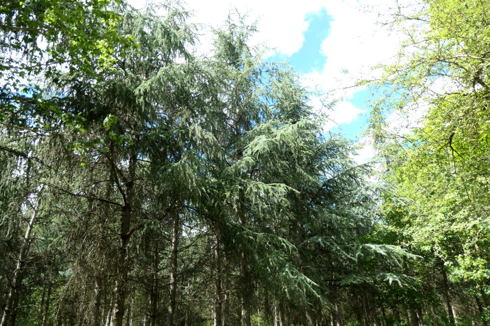 P1011578 