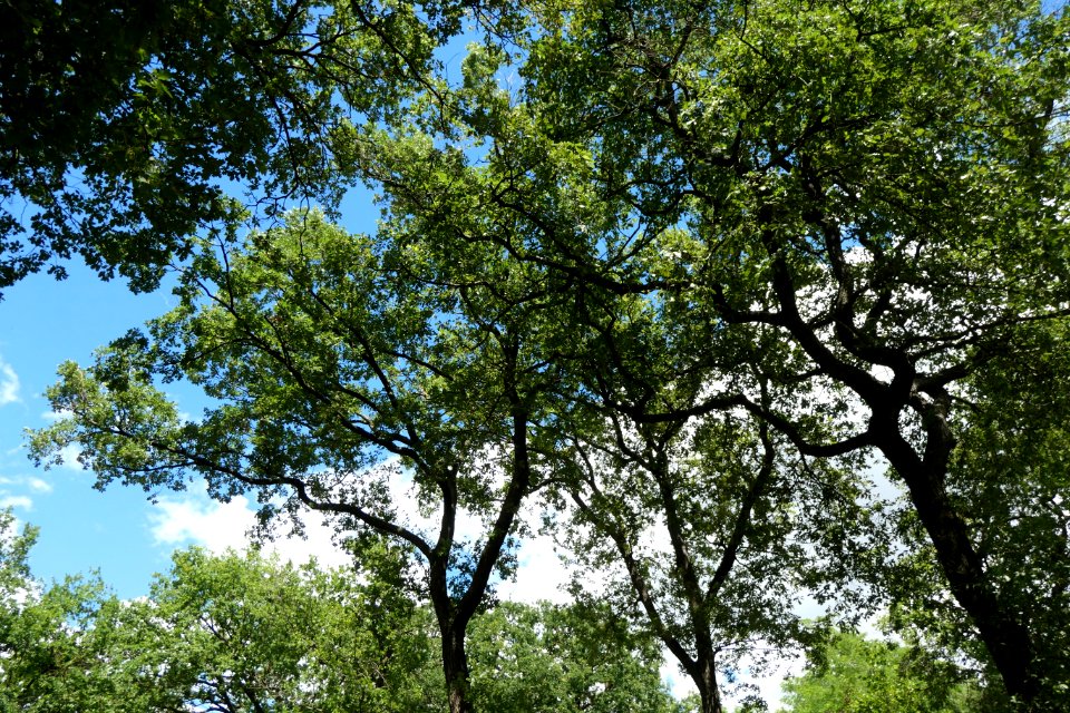 P1011556 