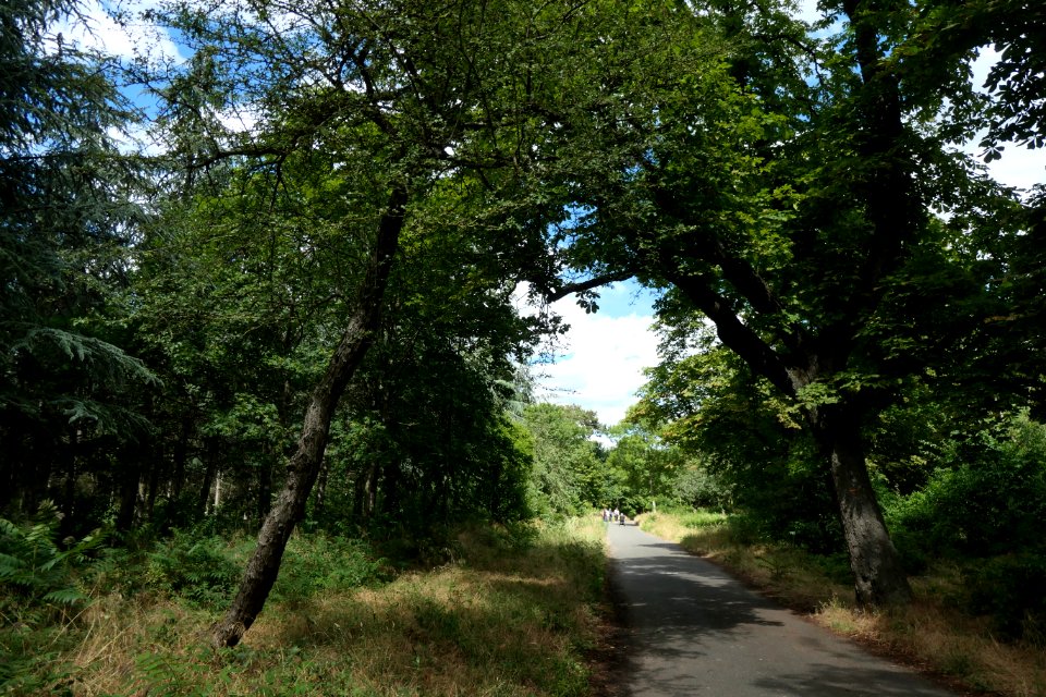 P1011579 