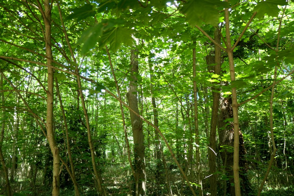 P1011501 