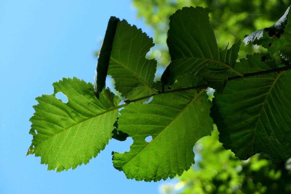 P1011551 