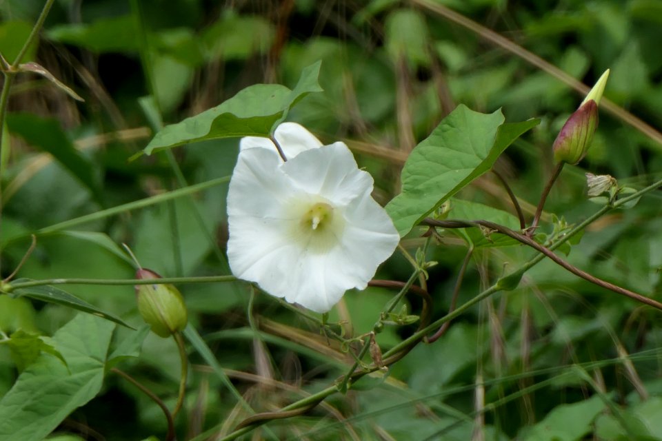 P1011583 
