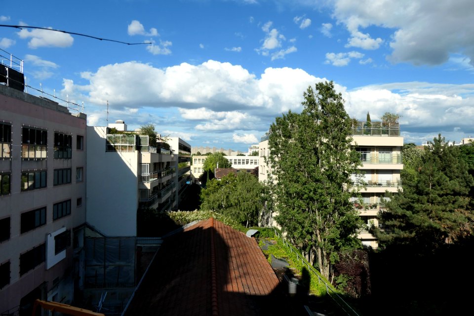 P1011611 