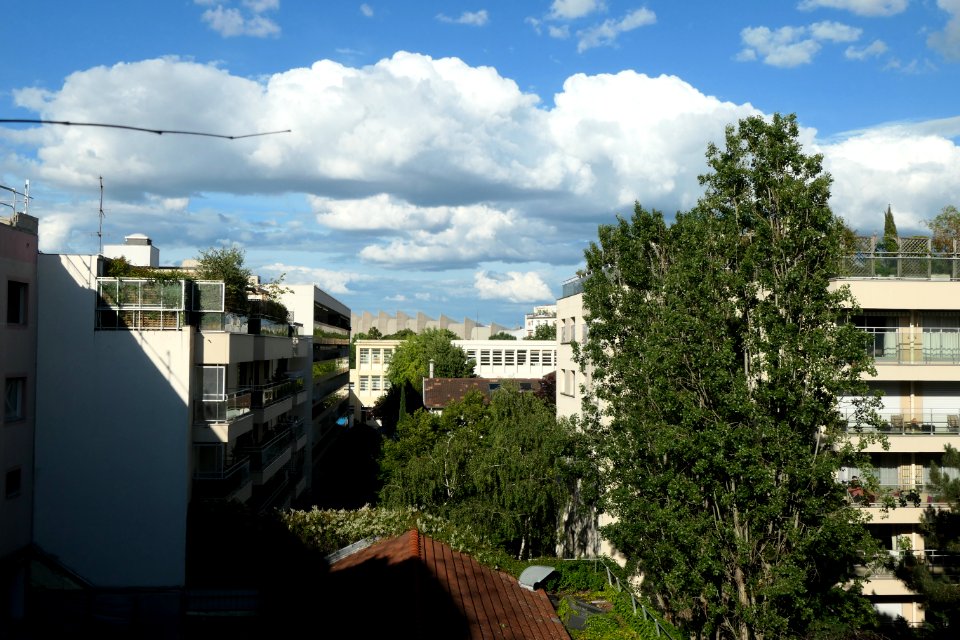 P1011612 